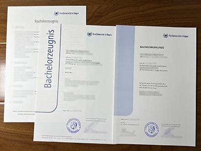 FernUniversitat in Hagen diploma