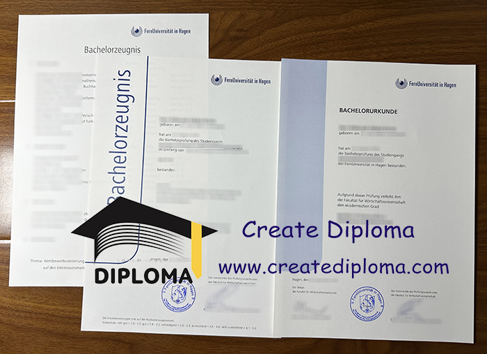 FernUniversitat in Hagen diploma
