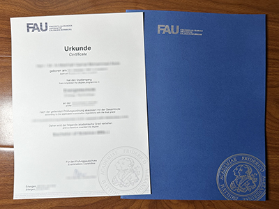 Friedrich-Alexander-Universität diploma