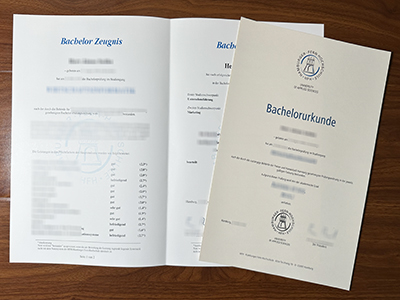 Hamburger Fern-Hochschule diploma and transcript