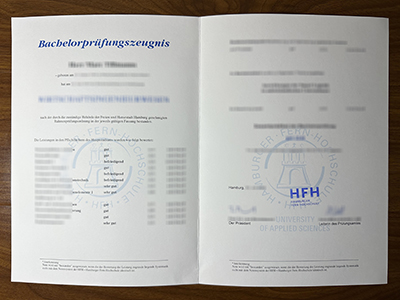 Hamburger Fern-Hochschule transcript