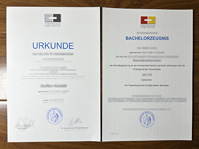 Hochschule Hamm-Lippstadt diploma and transcript
