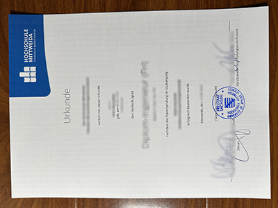 Hochschule Mittweida diploma