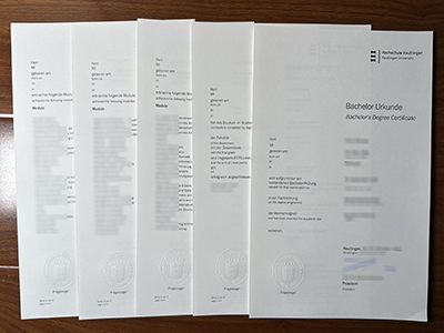 Hochschule Reutlingen diploma