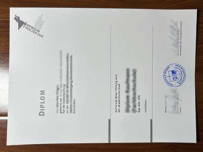 Hochschule Wismar diploma