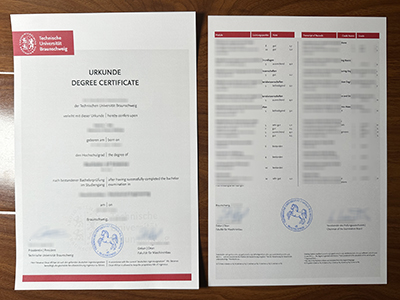 Technische Universität Braunschweig urkunde