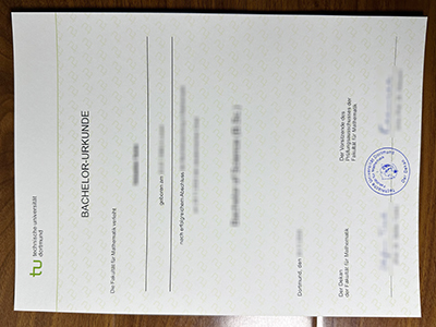 Technische Universität Dortmund diploma