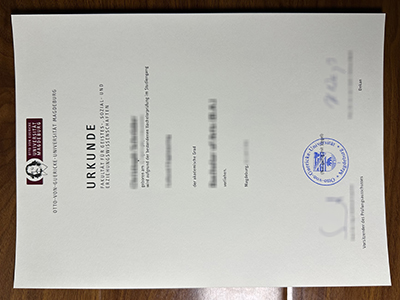 Universität Magdeburg diploma