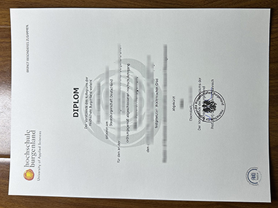 Hochschule Burgenland diploma