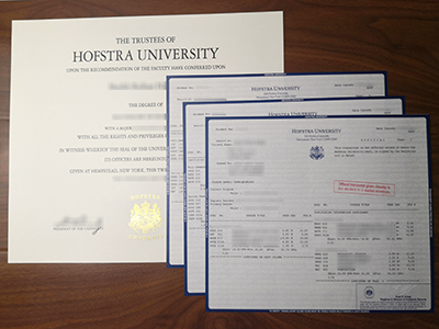 Hofstra University diploma