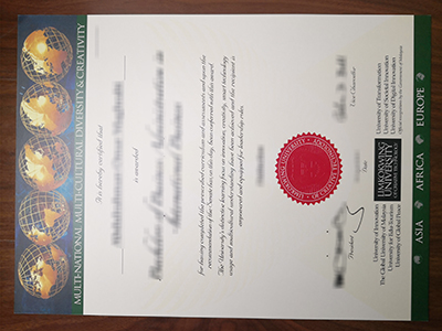 Limkokwing University of Creative Technology diploma