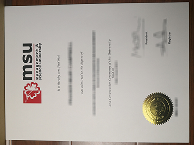 MSU diploma