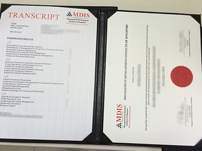 Management Development Institute of Singapore diploma
