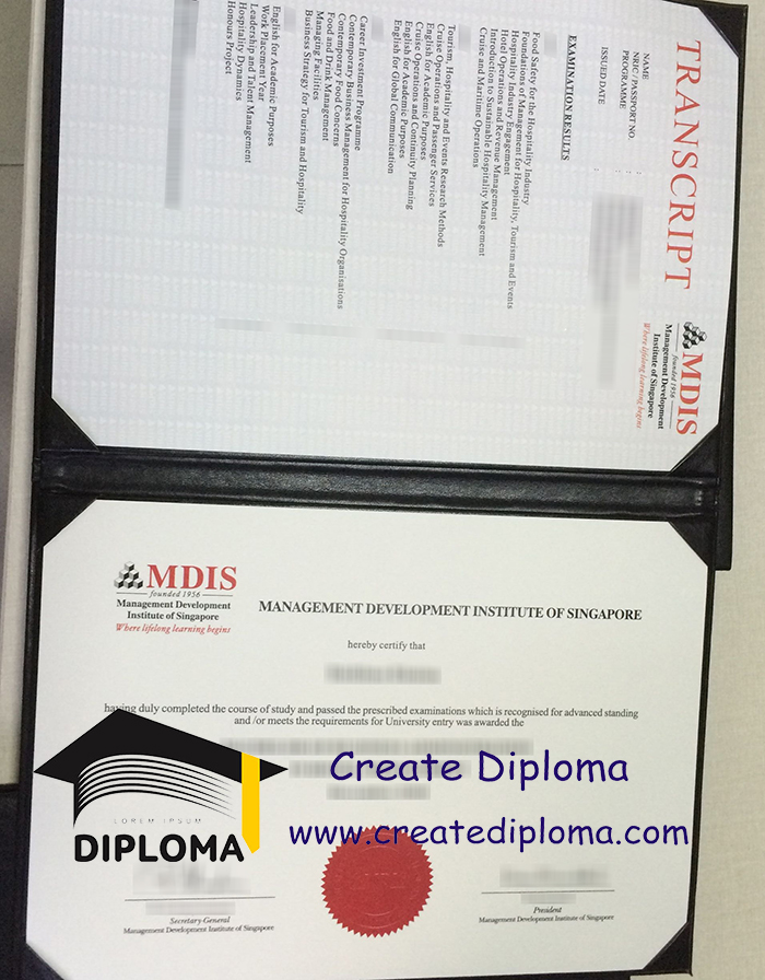 Management Development Institute of Singapore diploma
