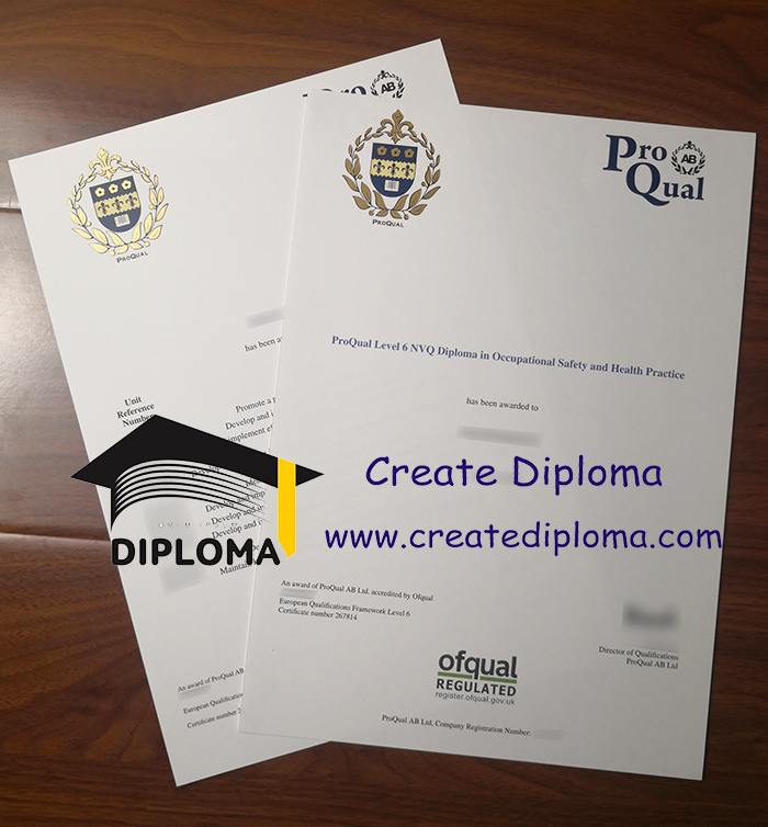 ProQual Level 6 NVQ Diploma