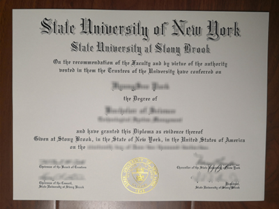 State University of New York at Stony Brook diploma