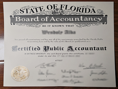 Florida CPA certificate