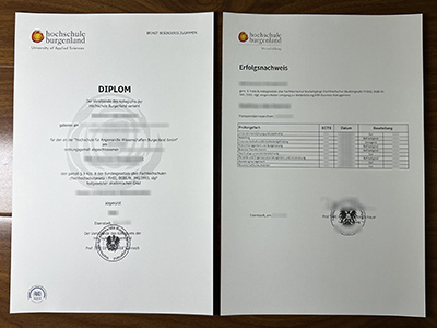 Hochschule Burgenland diploma and transcript