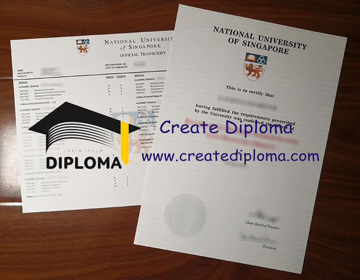 National University of Singapore diploma and transcript