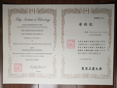 Tokye Institute of Technology diploma