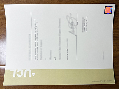 UCL degree
