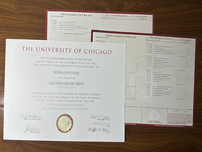 University of Chicago diploma and transcript