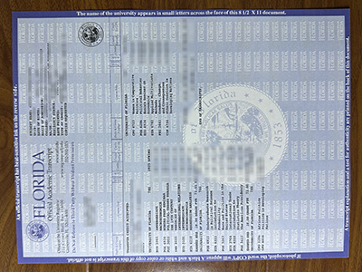 University of Florida transcript