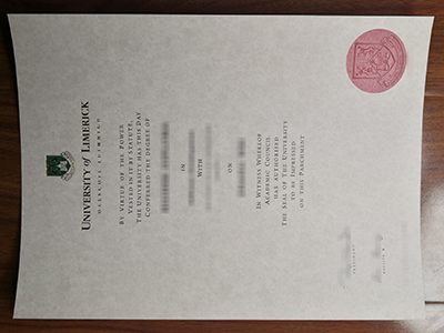 University of Limerick diploma