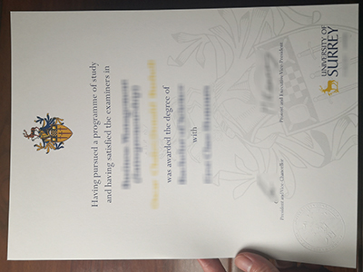 University of Surrey diploma