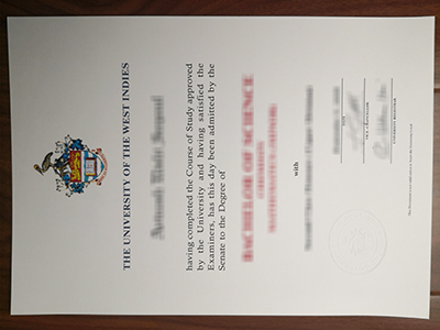 University of the West Indies diploma