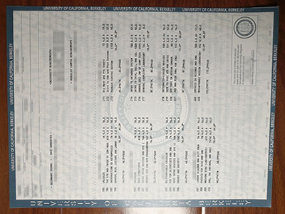 University of California Berkeley transcript