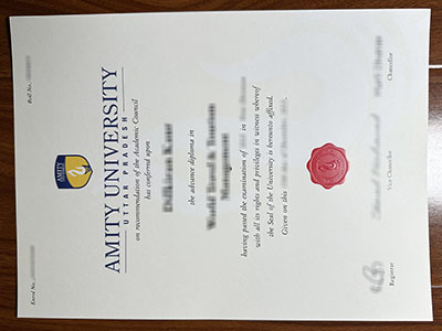 Amity University diploma