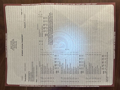 Bastyr University transcript