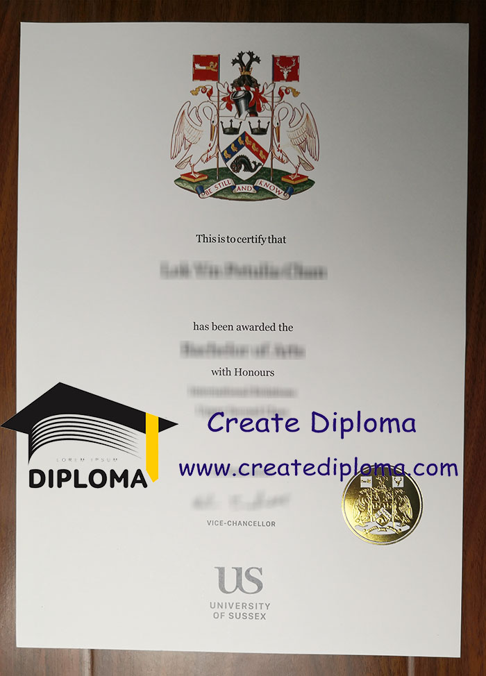 University of Sussex diploma