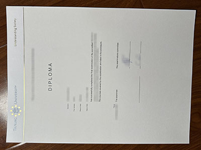 Tilburg University diploma