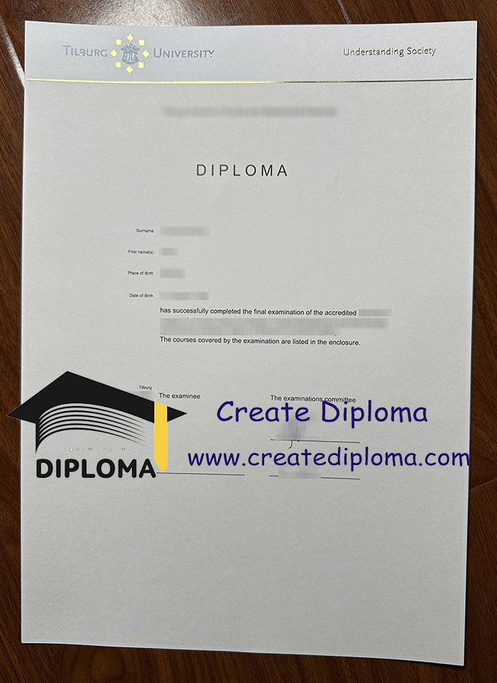 Tilburg University diploma